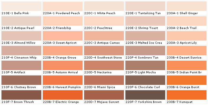 Ginger Paint Color