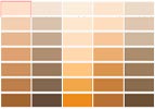 Behr Paint Orange Color Chart