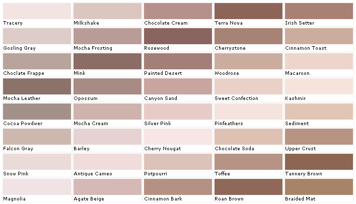 Color Chart Mocha