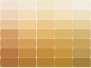 sherwin williams paint swatches